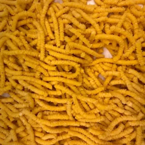 Passatelli, pasta fresca